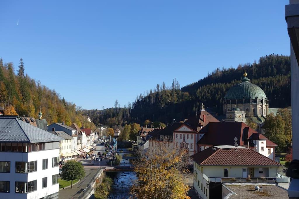 Auszeit Im Schoenen Hochschwarzwald St. Blasien Kültér fotó